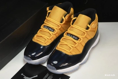 11 118 NEW AIR JORDAN  CT8012- 0818